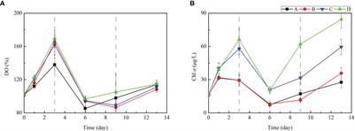 Synchronous Shifts in Nutrients and Organic Carbon Responses Over the Diatom-to-Dinoflagellate Succession